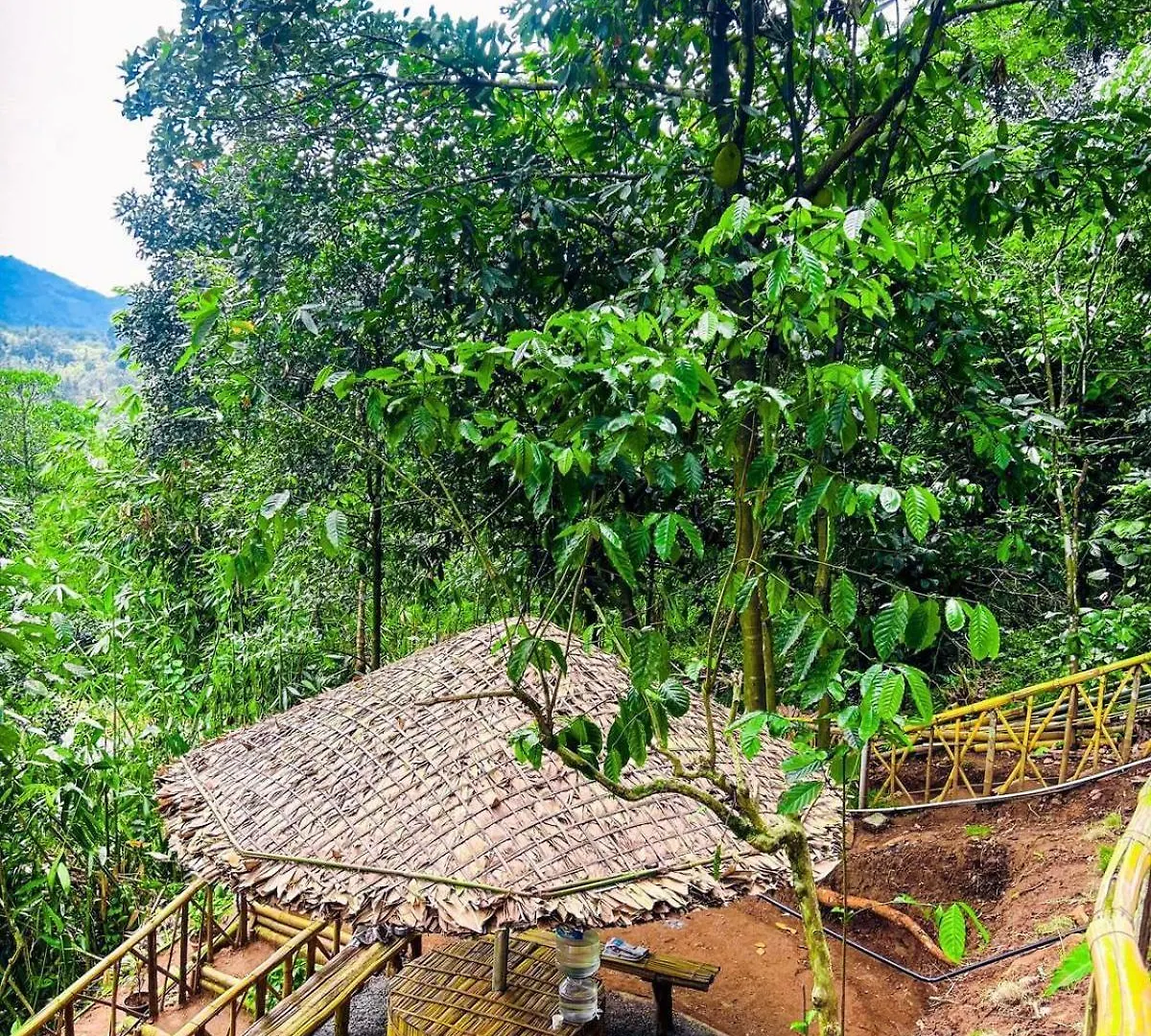 Campsite Tent Stay Mankulam Viripara India